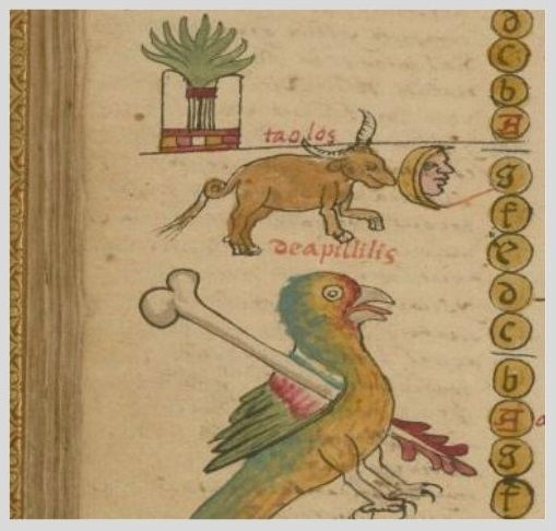 detalle del calendario azteca