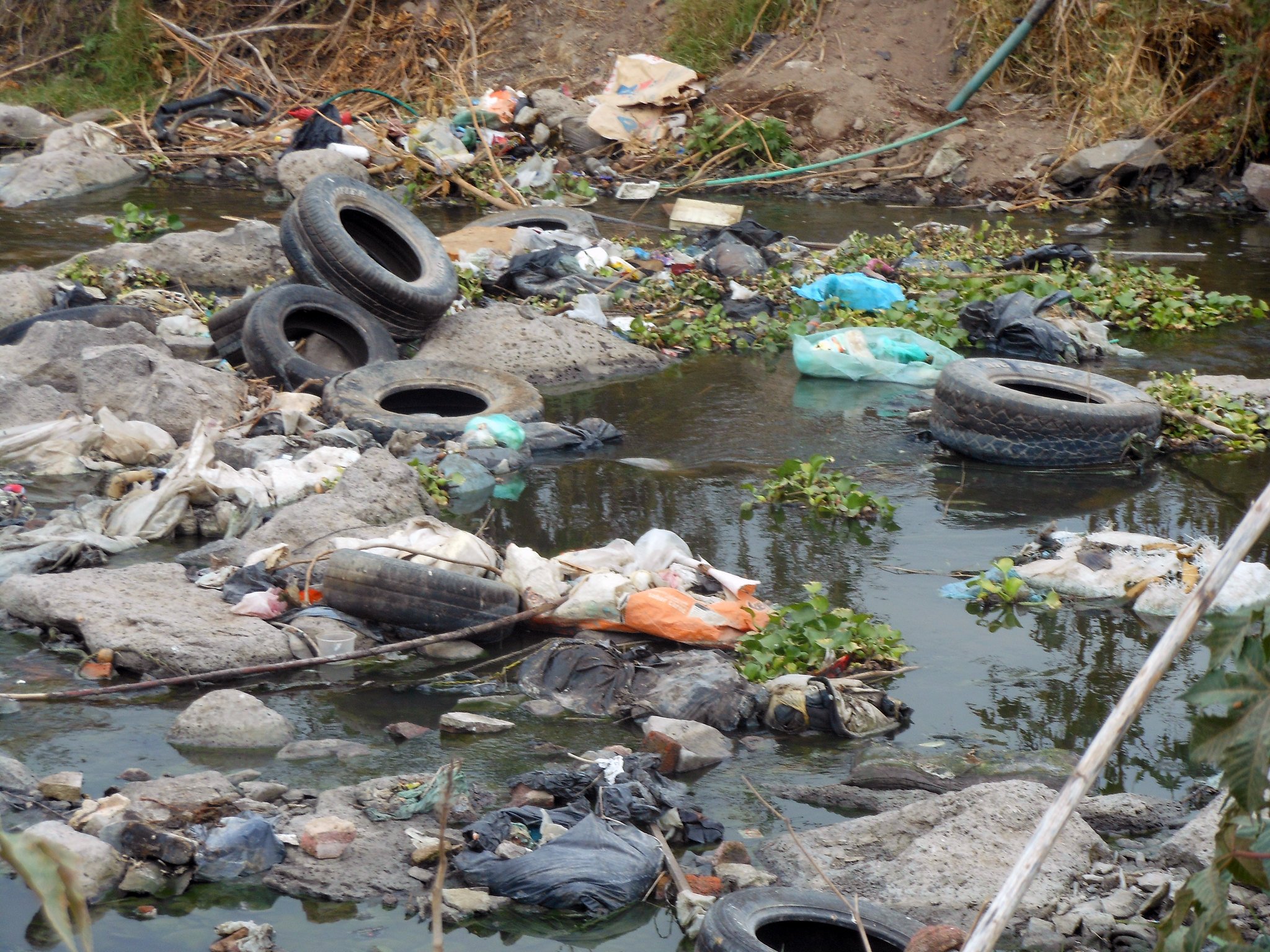 Contaminación ambiental en el Río Santiago en Jalisco, México