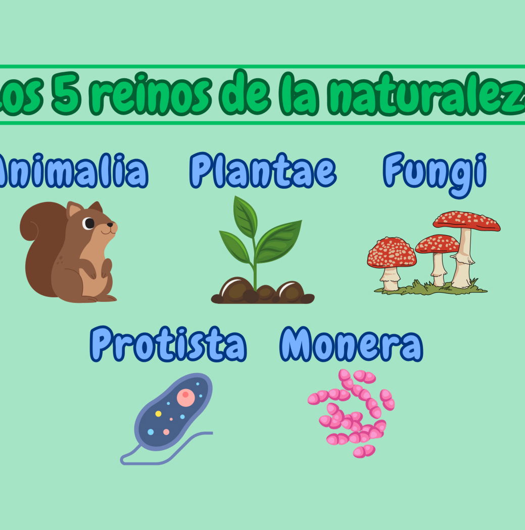 Los 5 Reinos de la naturaleza (Whittaker): características y ...