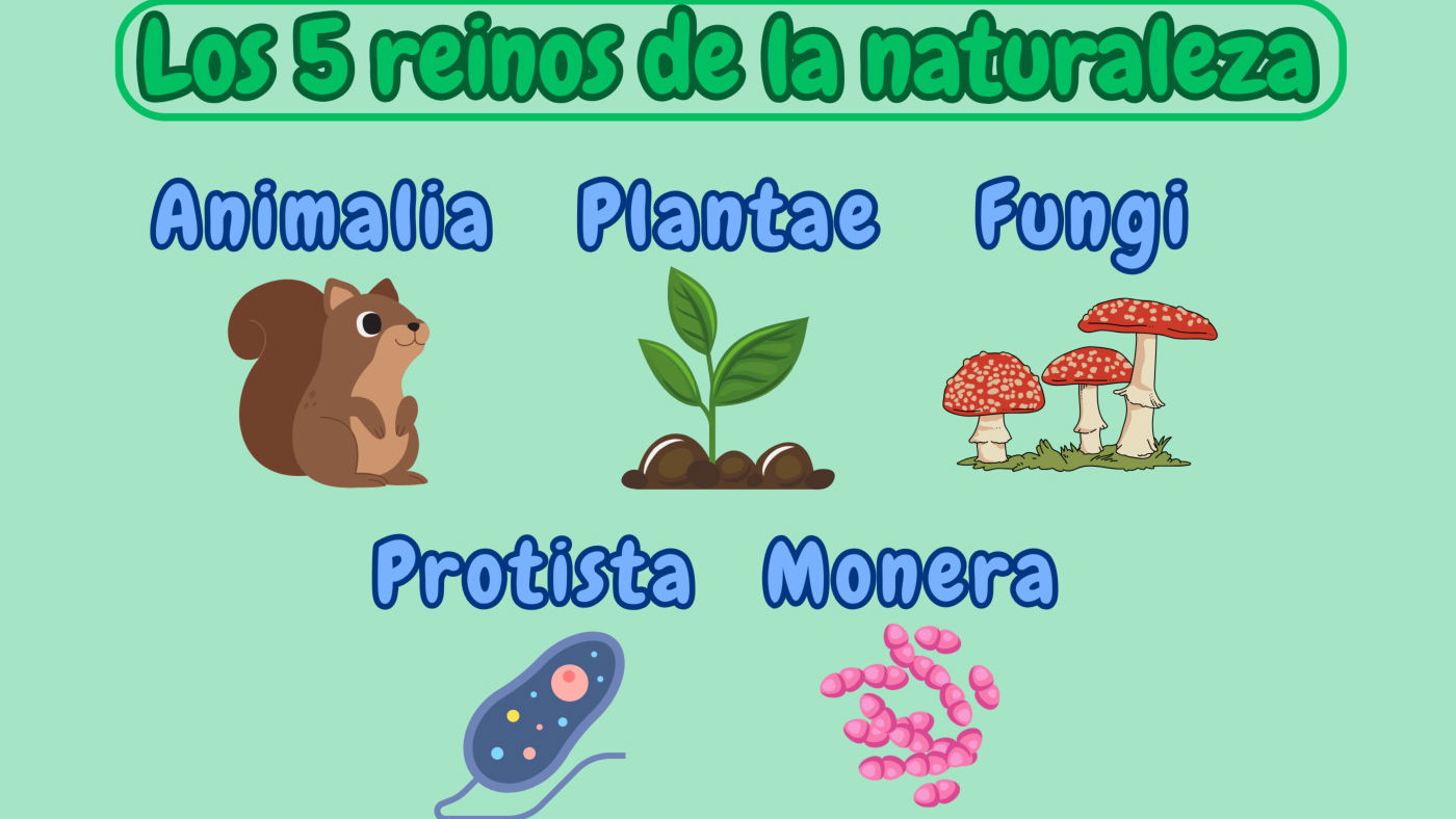 Los 5 Reinos de la naturaleza (Whittaker): características y ejemplos -  Enciclopedia Significados