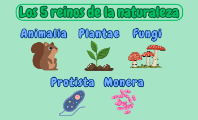 Los 5 reinos de la naturaleza