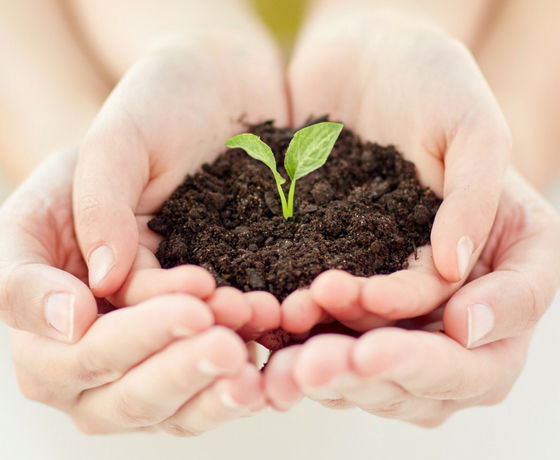 altruista medio ambiente