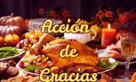 Día de Acción de Gracias