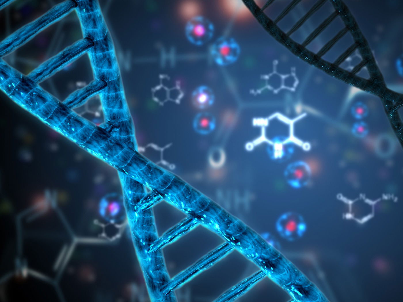 Características de los ácidos nucleicos: propiedades y estructura -  Enciclopedia Significados