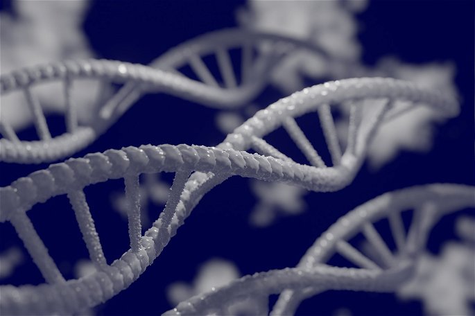 Imagen de una secuencia de ADN.