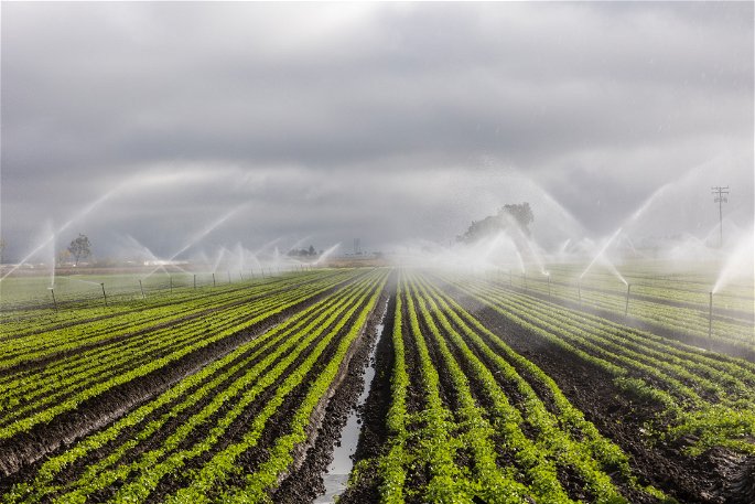 Agricultura de regadío, con un campo de cultivo siendo irrigado por aspersores