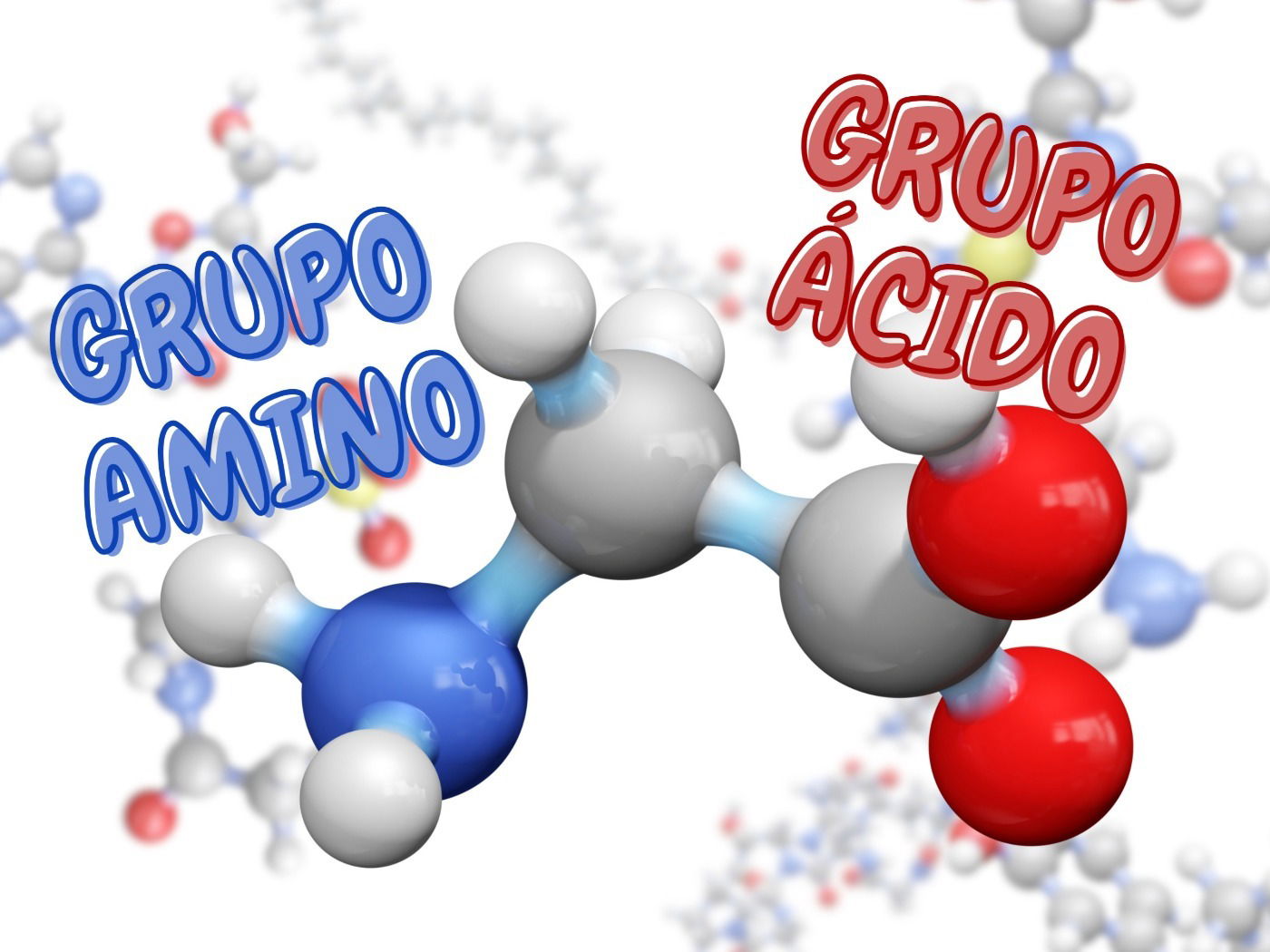 Aminoácidos: qué son, tipos, estructura y función - Enciclopedia  Significados