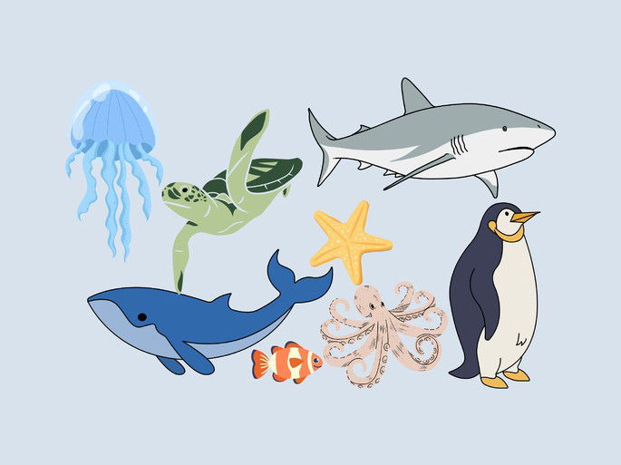 animales acuáticos