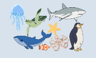 Animales acuáticos