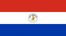 Bandera de Paraguay reverso
