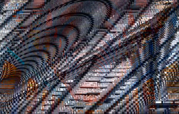 Biblioteca en perspectiva Bóveda de cañón