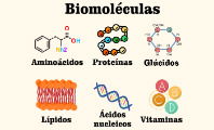 Biomoléculas