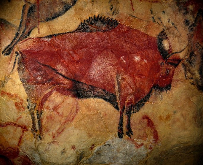 bisonte pintado en las paredes de la cueva de Altamira