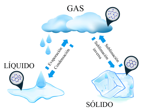 Esquema de los cambios de estado que incluyen el estado gaseoso: evaporación, condensación, sublimación y deposición.