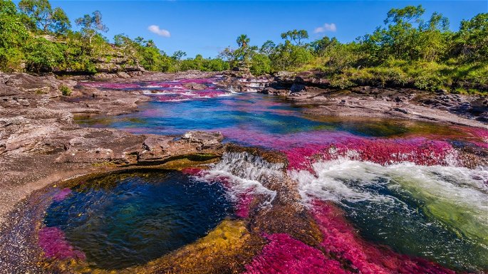 Río colorido que está en Colombia