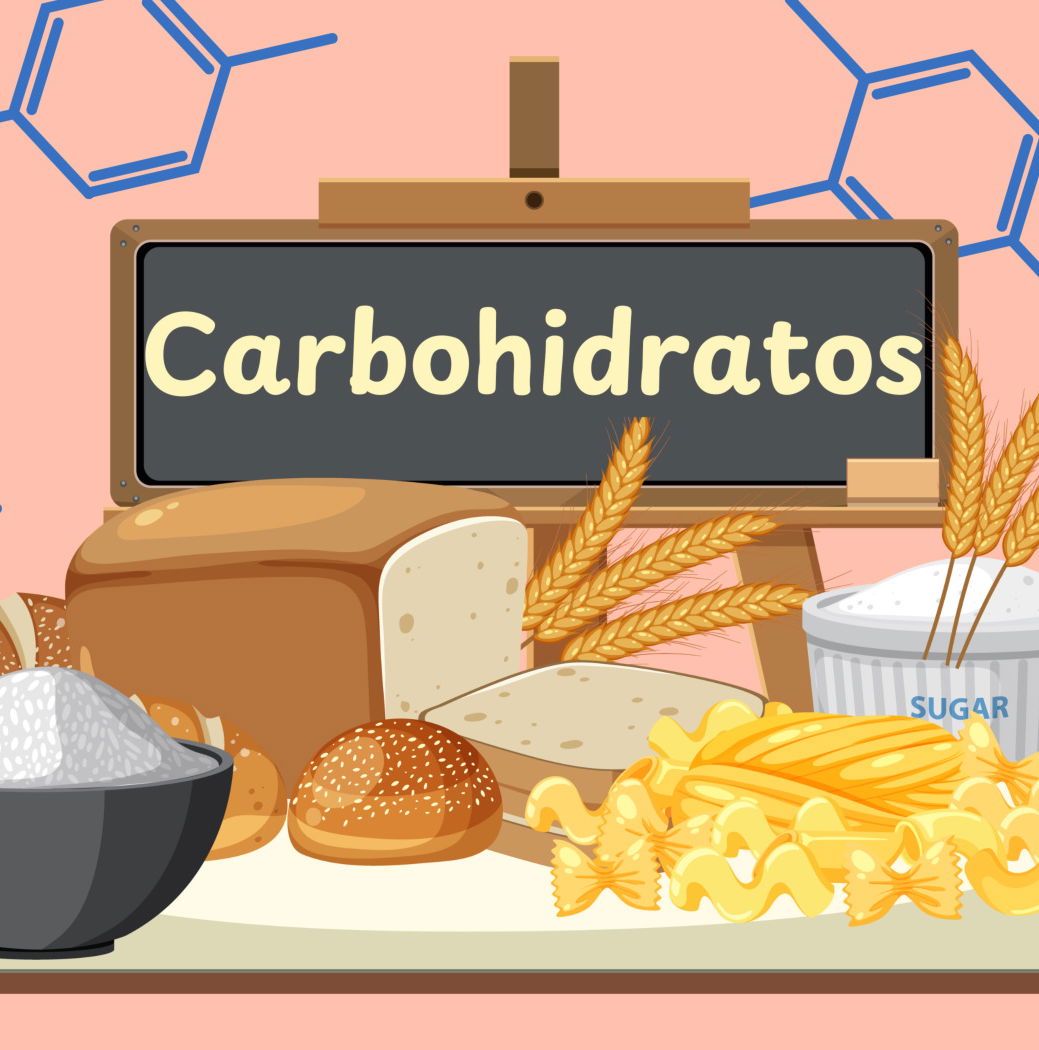 Carbohidratos: qué son, funciones y tipos - Enciclopedia Significados