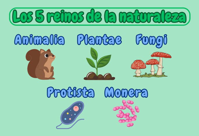 Los 5 reinos de la naturaleza según Whittaker: Animalia, Plantae, Fungi, Protista y Monera.