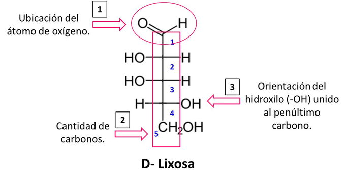 D-lixosa como ejemplo de los azúcares