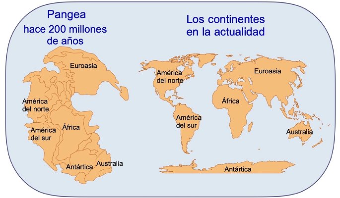 origen de los continentes actuales a partir de pangea