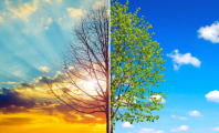 Crisis ambiental