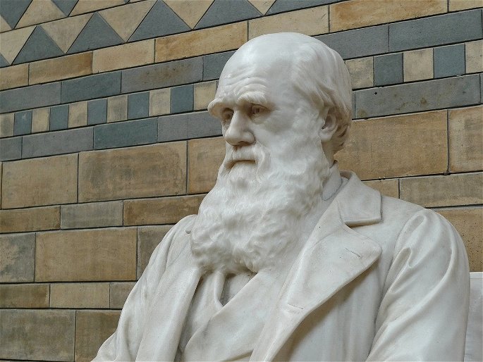 Charles Darwin estatua
