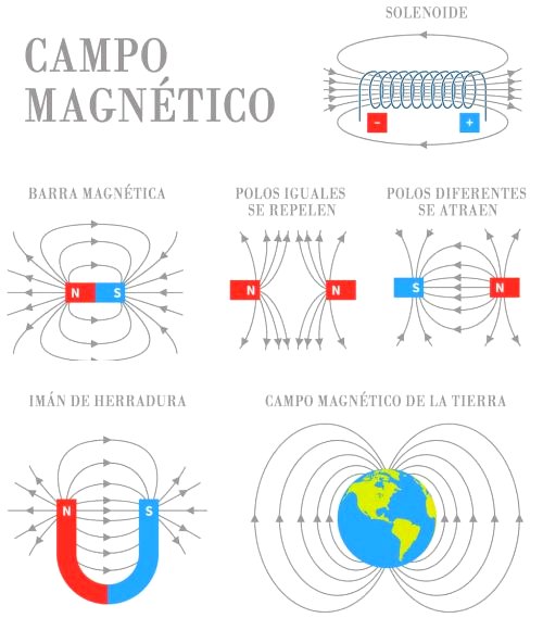 sopa voluntario Fuera Qué es un campo magnético - Significados