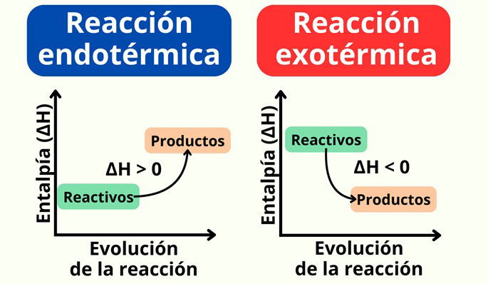Diferencia entre reacción endotérmica y exotérmica
