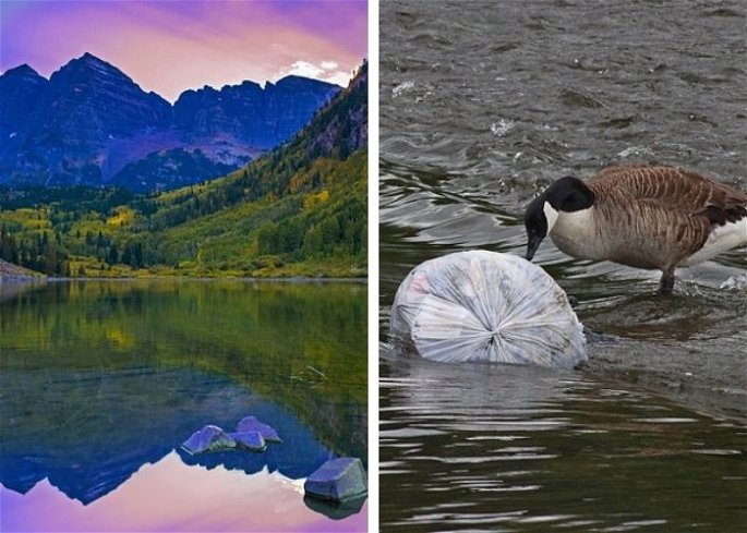 Paisaje de montaña con lago al atardecer y ave junto a basura en el agua