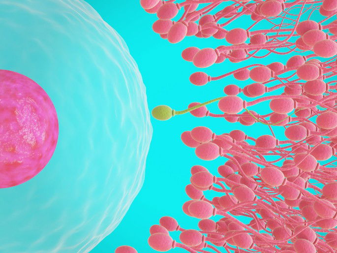 Espermatozoides aproximándose a un óvulo, con uno de ellos entrando en contacto con el óvulo.