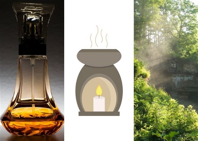 perfume evaporado, quemador de esencia y bosque emitiendo vapor de agua