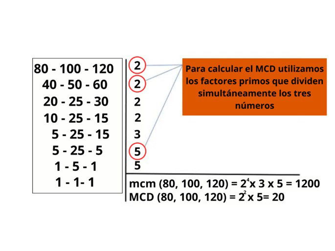 ejercicio 6b mcm y MCd