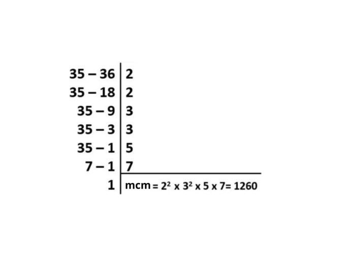 ejercicio 7: mcm y mcd