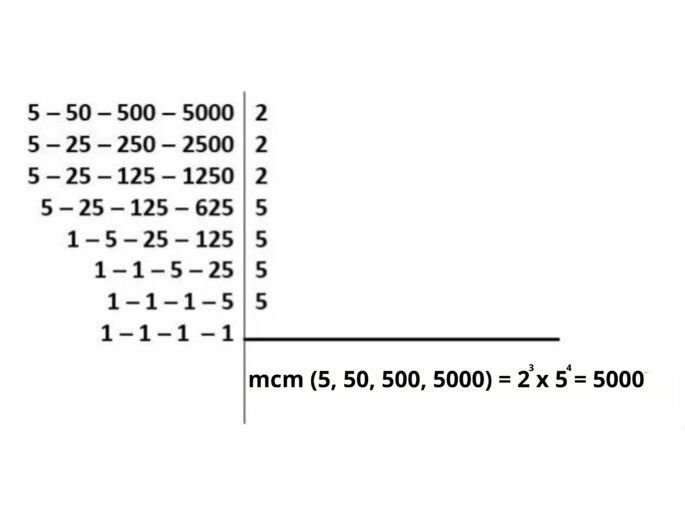 ejercicio número 14: mcm y mcd
