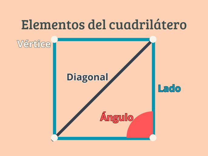 elementos del cuadrilátero