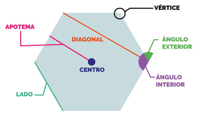 Elementos de un polígono
