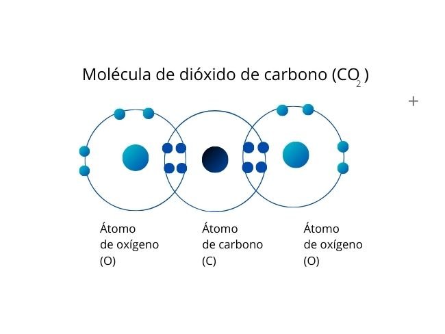 Enlace covalente doble