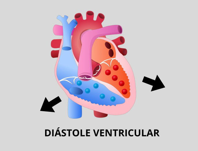 Esquema Diástole Ventricular