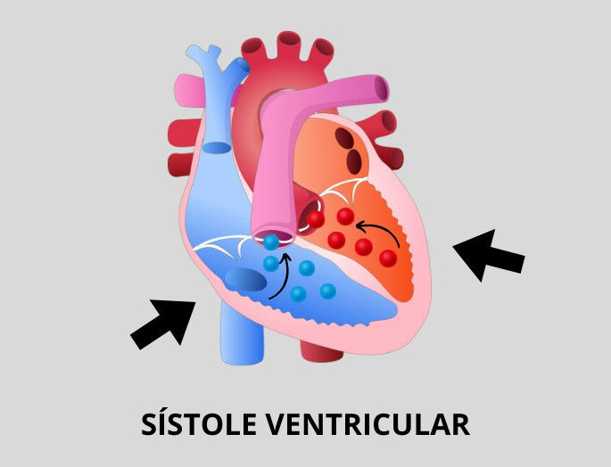 Esquema de Sístole Ventricular