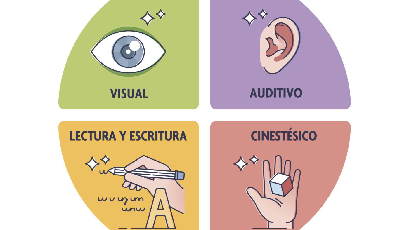 Gráficos De Diferentes Estilos De Aprendizaje Características Del