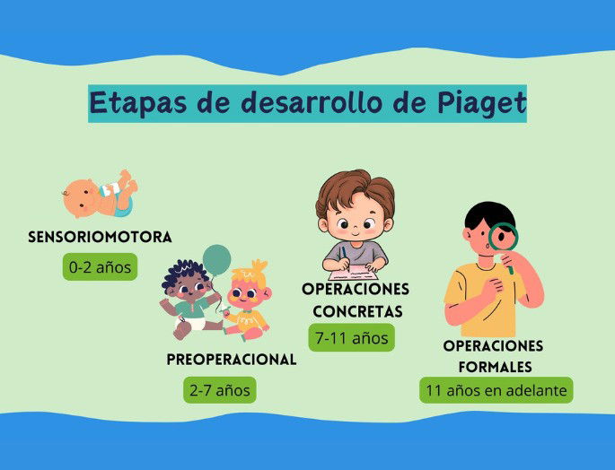 imagen de las estapas del desarrollo de Piaget