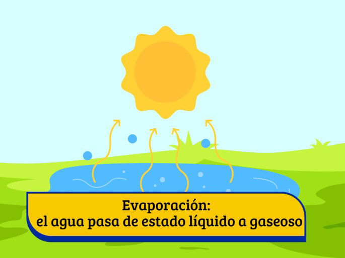ciclo del agua: evaporación (sol sobre un lago de agua y un campo verde)