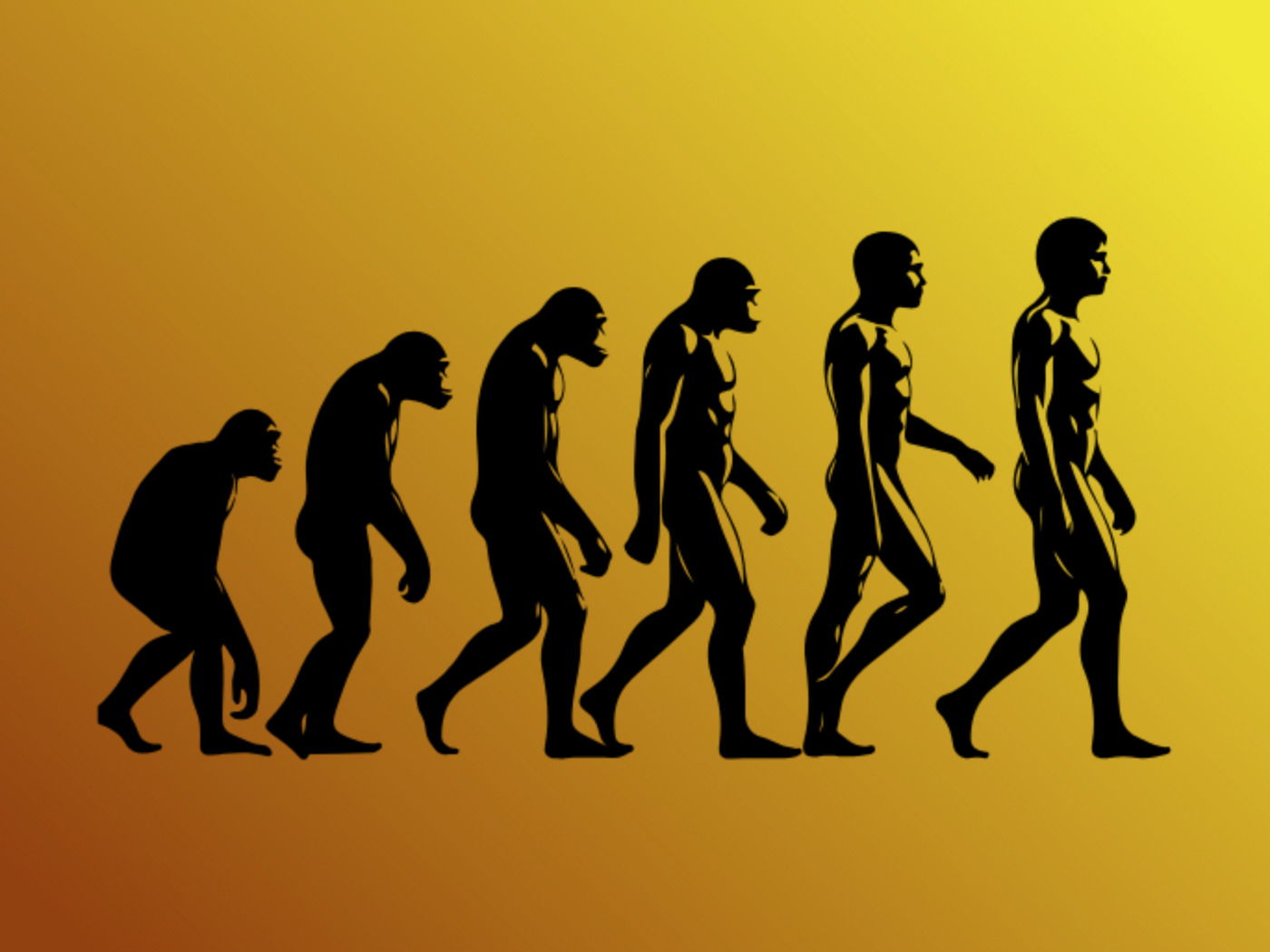 Evolución Del Hombre Etapas E Historia Enciclopedia Significados 3151