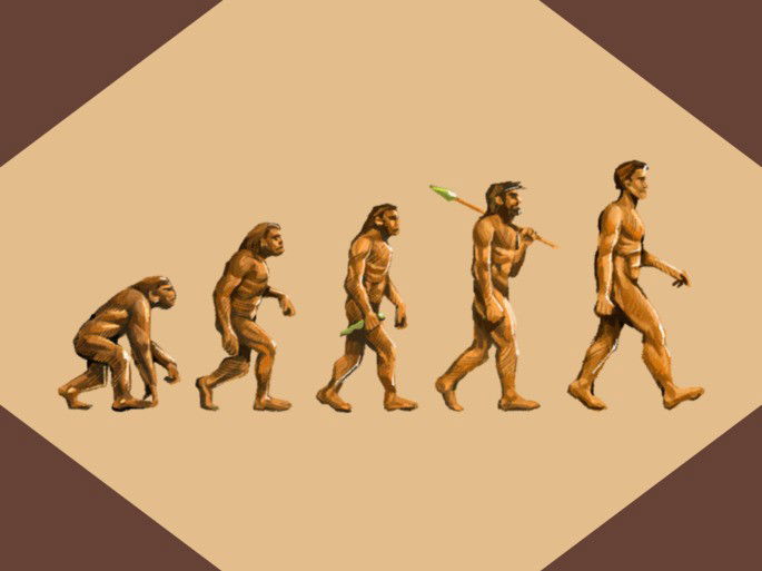 evolución del hombre