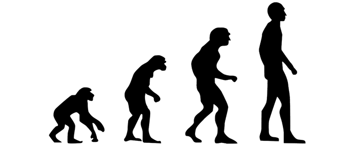 Evolución del ser humano.