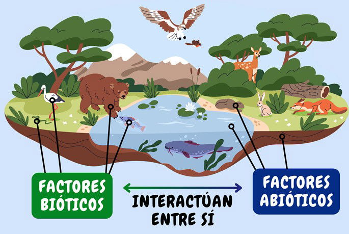 Interacción entre factores bióticos y abióticos en la naturaleza