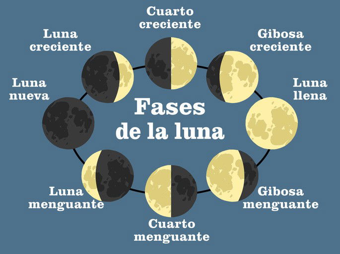 Las 8 fases de la luna