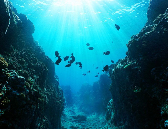 fosa oceánica con peces nadando y rayos de sol incidiendo en el fondo marino