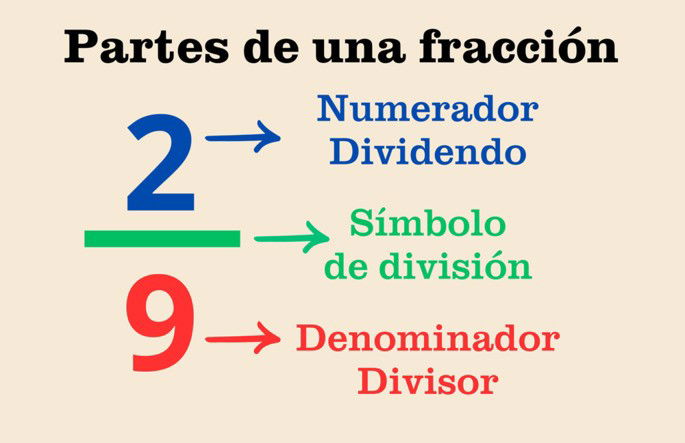 Fracción y sus partes: numerador, denominador y símbolo de división