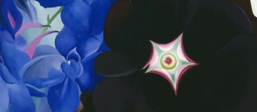 georgia-okeeffe-black-orchid-significado