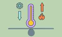 Homeostasis